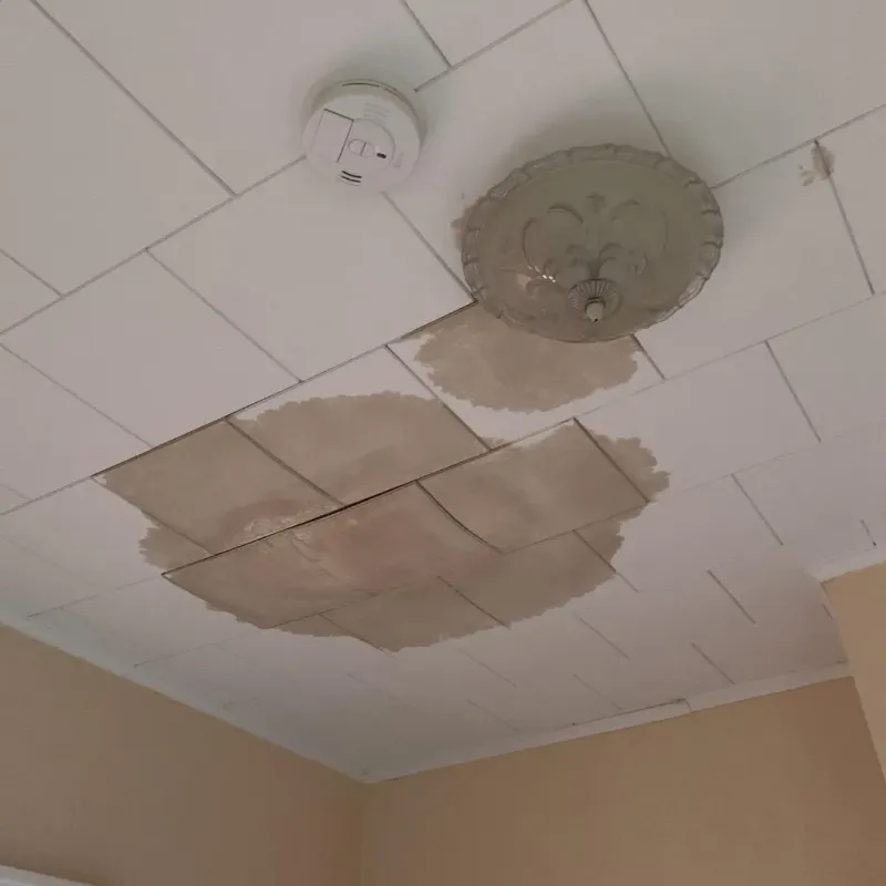 Ceiling Water Damage Repair in Dunbar, WV