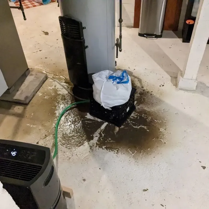 Sewage Backup Cleanup Service in Dunbar, WV